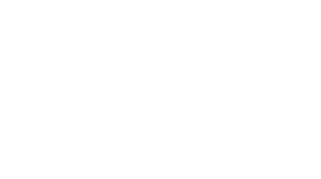 Metropolitan Law Group LLC